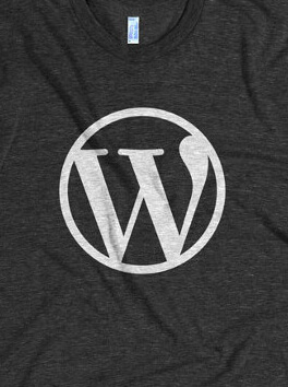 WordPress不闭站的情况下备案且不影响收录的解决方法 - 道言分享网