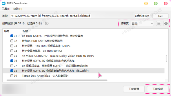 B站视频下载器 Bili23-Downloader v1.55.0 新春版 自动高音画质 - 道言分享网