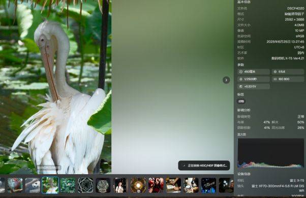 Afilmory 一个现代化照片画廊网站 - 道言分享网