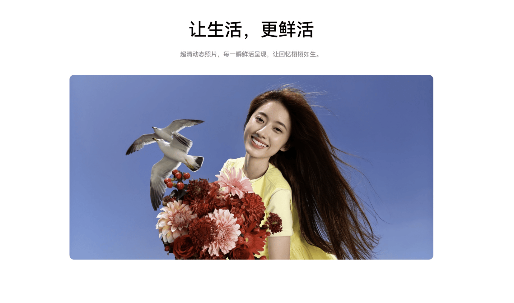 图片[6] - HUAWEI Pura 80 - 道言分享网