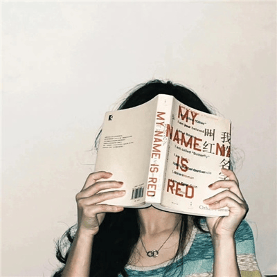 20251108142659617-image