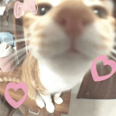 20251109141248933-image