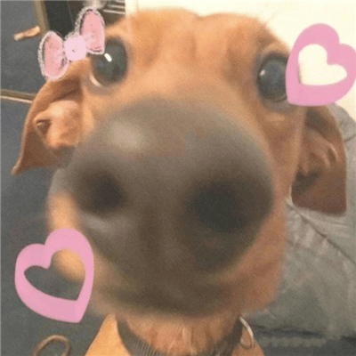 20251109141303980-image