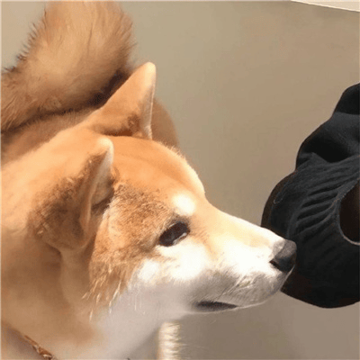 20251109141358685-image